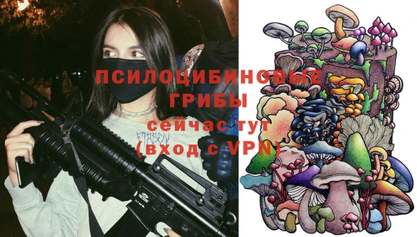 первитин Нягань