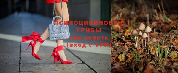 соль ск Дегтярск