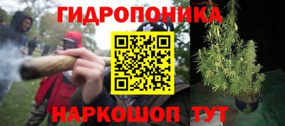 ECSTASY Апшеронск
