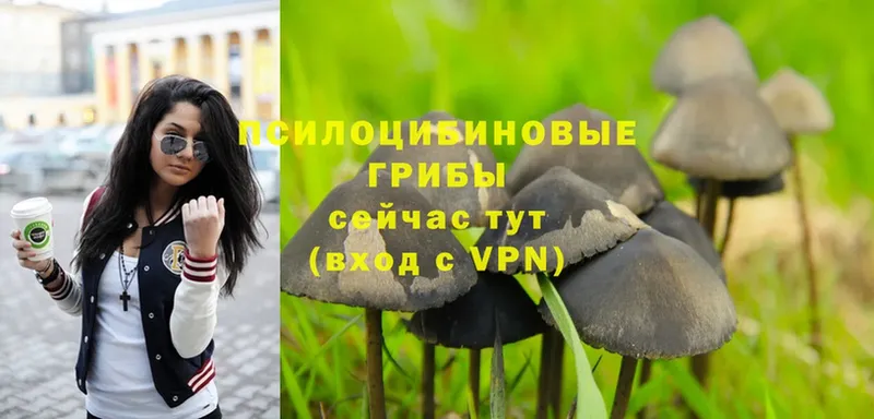 Галлюциногенные грибы MAGIC MUSHROOMS Томск