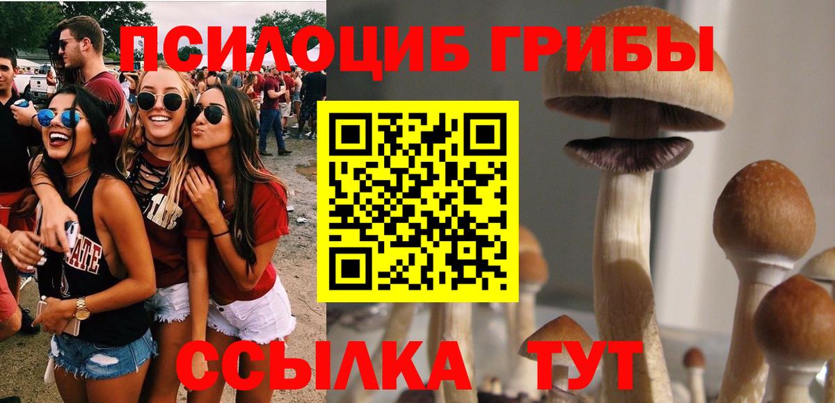 Галлюциногенные грибы ЛСД Томск