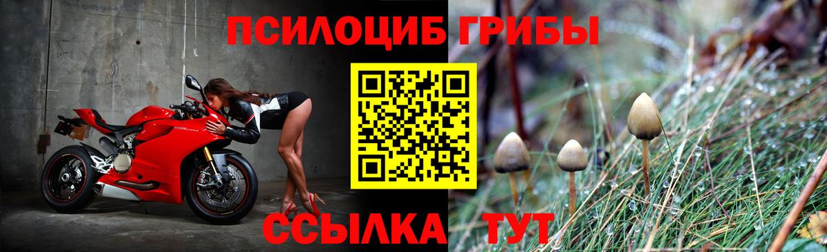 Галлюциногенные грибы MAGIC MUSHROOMS  Вход с VPN  Томск  Псилоцибиновые грибы прущие грибы 